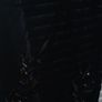 Black sheer cover up Image 4