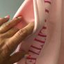 Ladies bottoms size S Image 2