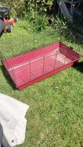 Cage for Rabbit or Guinea Pig