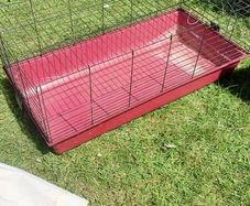 Cage for Rabbit or Guinea Pig