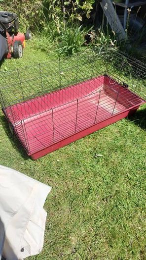 Cage for Rabbit or Guinea Pig