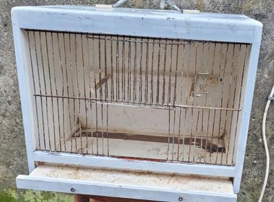 transport cage