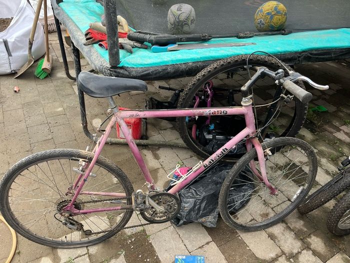 Raleigh Mustang