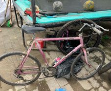 Raleigh Mustang
