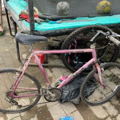 Raleigh Mustang