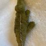 Jellycat Lollybob Caiman Crocodile / Alligator Image 5