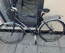 Adults Bike