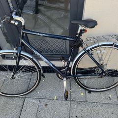 Adults Bike