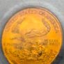 Gold 5 Dollar Ms69 Usa Eagle Image 2