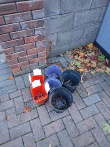 Free plant pots