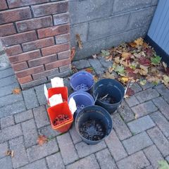 Free plant pots