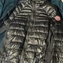 canada goose hybridge Image 2