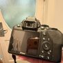 Nikon D3500 Image 9