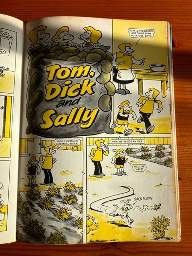 Comic: 'Beano' annual 1984