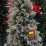 christmas tree Image 5