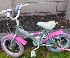 Girls bike