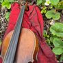 Violin Image 5