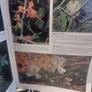 An illustrated guide to the flowers of Saudi Arabia (Hard covers, dust jacket Image 10