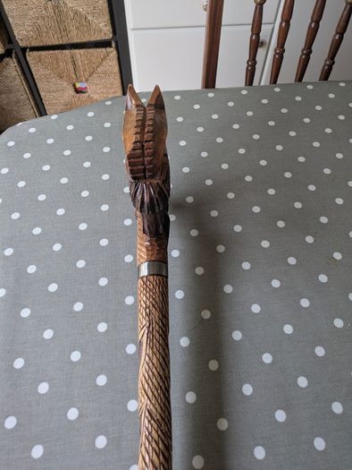 Walking stick