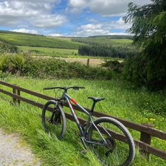 Voodoo Horde Mountain Bike