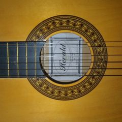 guitar