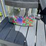 Fishtank Image 2