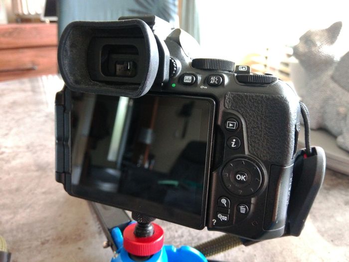 Nikon D5600