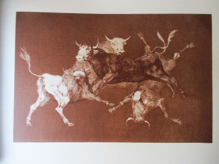 Large Francisco Goya Art Book - Disparates, Tres Visiones