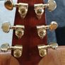 Breedlove AD25. All Solid Wood. Image 4