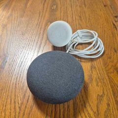 Google Nest Gen 1