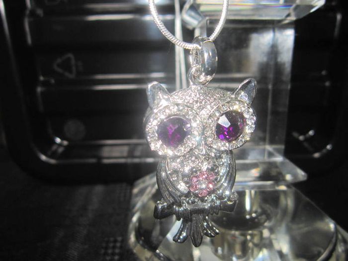 Cute Owl Pendant and Chain