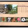 2006 Ireland Central Bank Uncirculated Coin Set Glenveagh National Park and Castle, Co. Donegal. Ideal Birthday Gift. Image 4