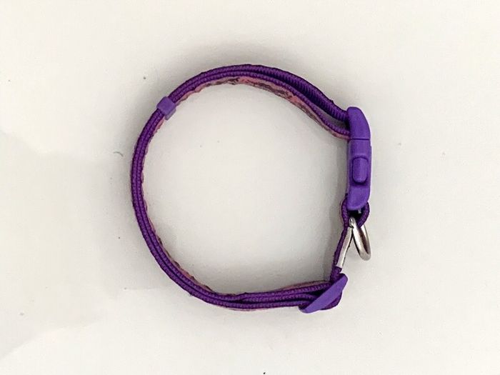 Large Dog Collar
