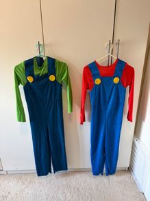 Mario and Luigi fancy dress up outfits