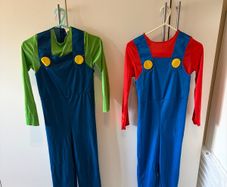 Mario and Luigi fancy dress up outfits