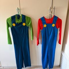 Mario and Luigi fancy dress up outfits