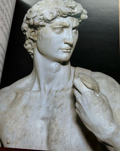 Michelangelo DAVID published by Giunt