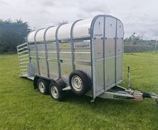 Cattle Trailer