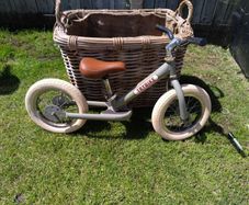 Infants Trybike balance bike