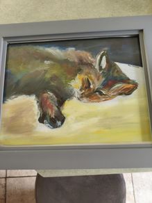 Lovely Oil On Canave Framed Picture Of Cat Signed Paul Downer.