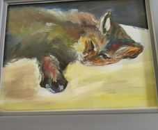 Lovely Oil On Canave Framed Picture Of Cat Signed Paul Downer.
