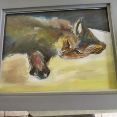 Lovely Oil On Canave Framed Picture Of Cat Signed Paul Downer.