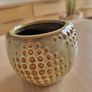 Small plant pot Image 5