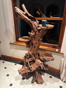 Teak Rootwood Plant Stand