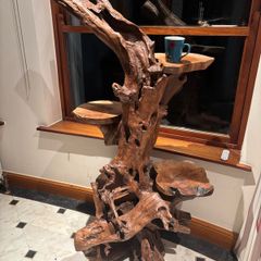 Teak Rootwood Plant Stand