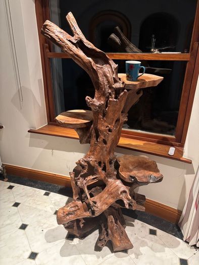 Teak Rootwood Plant Stand
