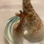Collectibles Image 4