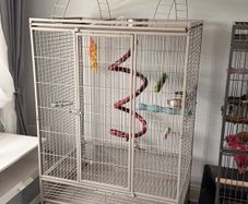 large bird cage