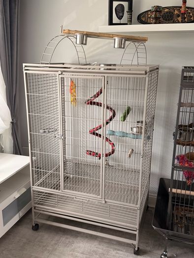 large bird cage