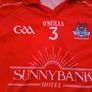 Rare Vintage Dublin West GAA  O'Neills Goalkeeper Jersey Size Large Image 3